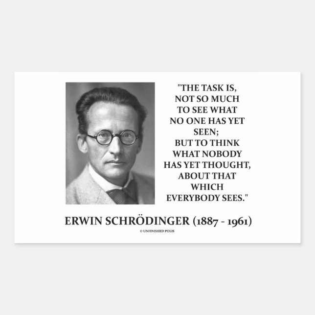 Adesivo Retangular Erwin Schrödinger Task Acha Que Ninguém Pensou Ain (Frente)