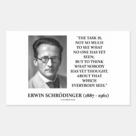 Adesivo Retangular Erwin Schrödinger Task Acha Que Ninguém Pensou Ain