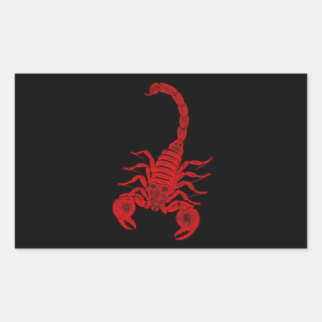 Adesivo Retangular Escorpiões Vermelhos da Ilustração do Escorpião Vi (Frente)