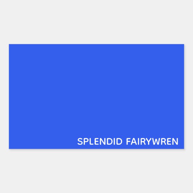 Adesivo Retangular Esplêndido Nome de Cor Azul Fairywren (Frente)