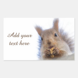 Adesivo Retangular Esquilo com noz