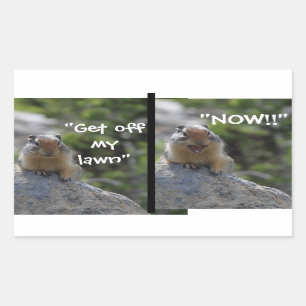 Adesivo Retangular Esquilo Engraçado Sai do meu gramado