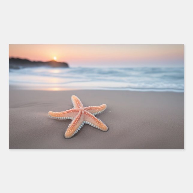 Adesivo Retangular Estrela-do-mar Deitada em uma Praia (Frente)