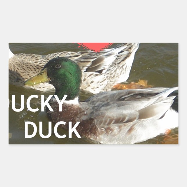 Adesivo Retangular Eu Adoro Montanhas Ducky Duck Design (Frente)