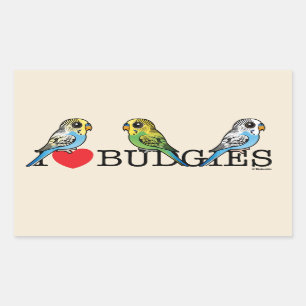 Adesivo Retangular Eu amo Budgies