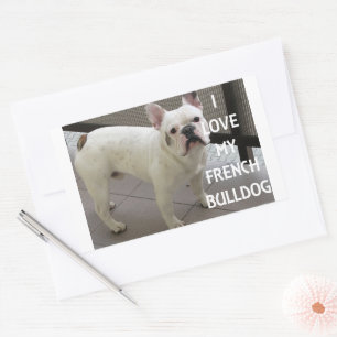Adesivo Retangular Eu Amo Meu Buldogue Francês