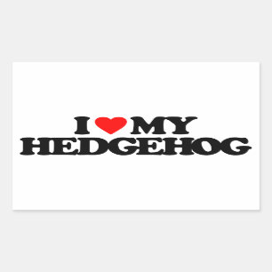 ADESIVO RETANGULAR EU AMO MEU HEDGEHOG