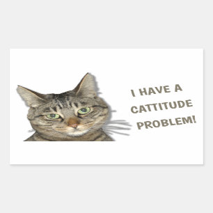 Adesivo Retangular Eu tenho um problema de cattitude!