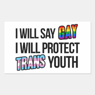 Adesivo Retangular Eu vou dizer gay e vou proteger a juventude trans