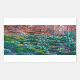 Adesivo Retangular EUA, Arizona. Flora do Deserto