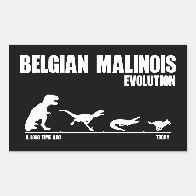 Adesivo Retangular Evolução Malinois Belga (Frente)