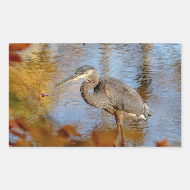 Adesivo Retangular Excelente Blue Heron enquadrado com folhagem de ou (Frente)