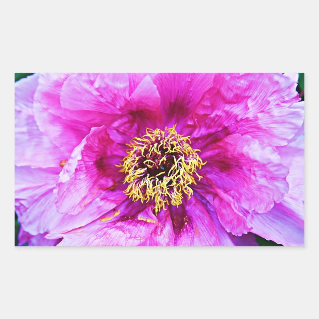 Adesivo Retangular Explosão rosa (Frente)