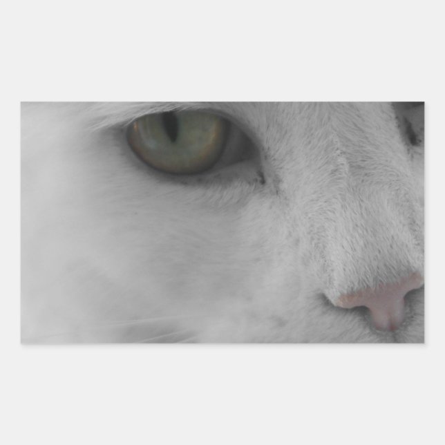 Adesivo Retangular Face de gatos brancos e pretos (Frente)