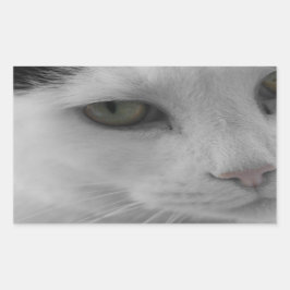 Adesivo Retangular Face de gatos brancos e pretos