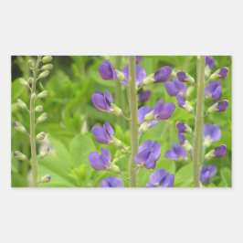 Adesivo Retangular False Indigo (Baptisia australis)