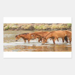 Adesivo Retangular Família do Cavalo Marrom no rio