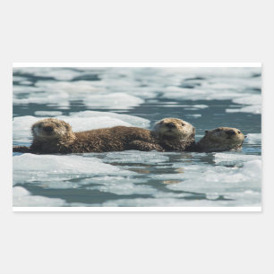 Adesivo Retangular Família Sea Otter