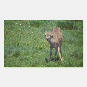 Adesivo Retangular Fazer