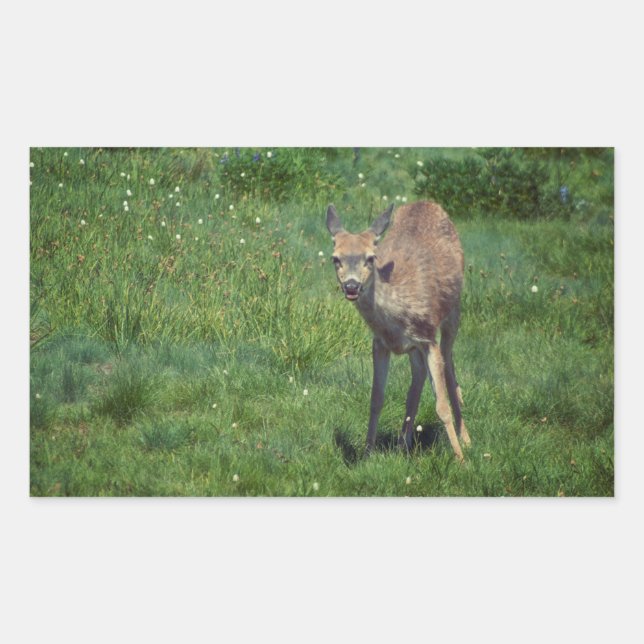 Adesivo Retangular Fazer (Frente)