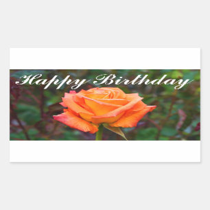 Adesivo Retangular Feliz Aniversário Caribe Rosa nº 2 Stickers