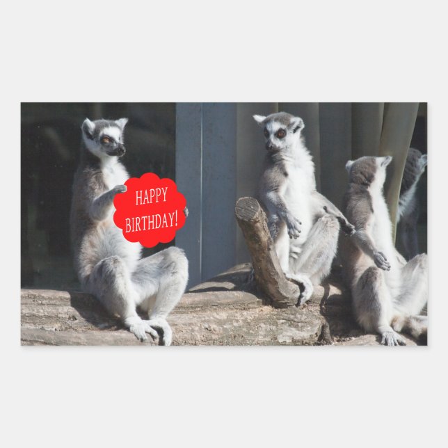 Adesivo Retangular Feliz Aniversário Katta (Frente)