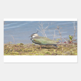 Adesivo Retangular fêmea lactente