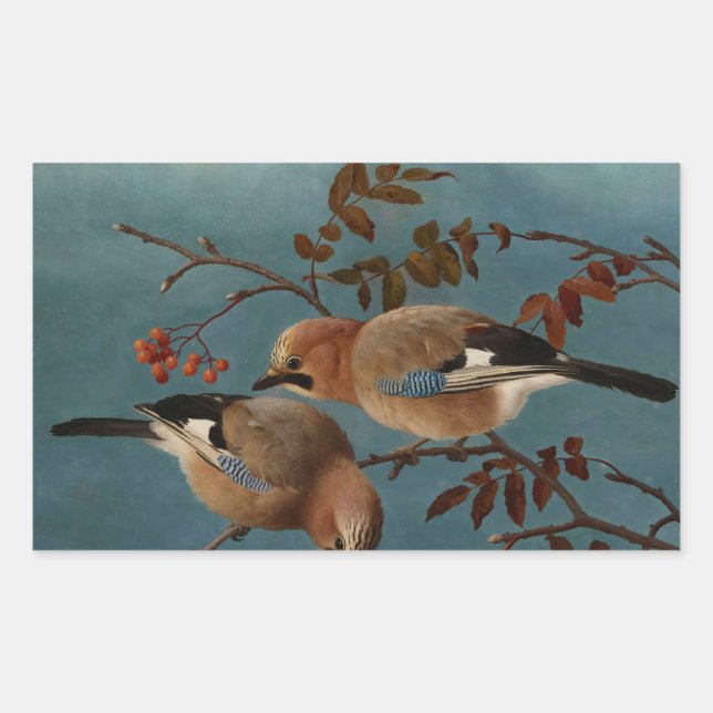 Adesivo Retangular Ferdinand von Wright - Jays (Frente)