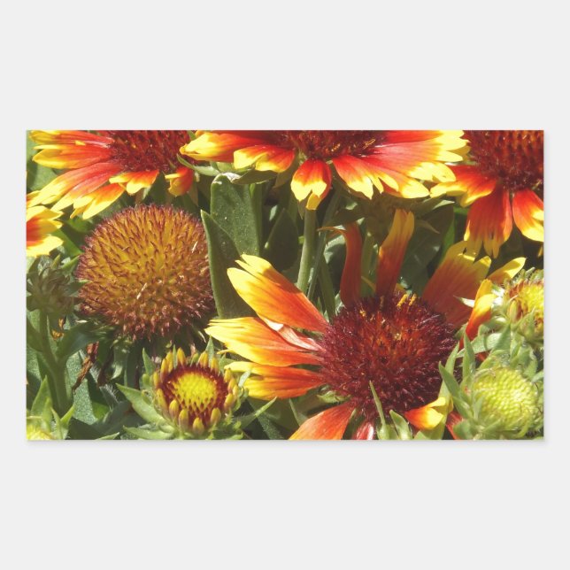 Adesivo Retangular Festival de outono de flores silvestres (Frente)