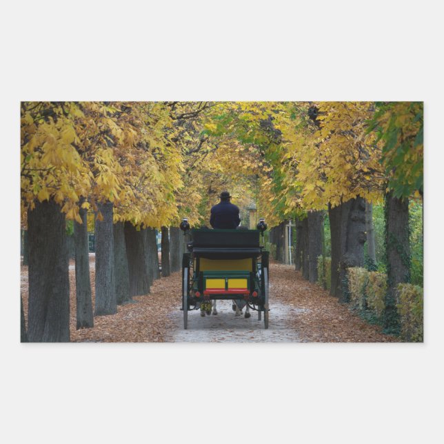 Adesivo Retangular Fiaker Em Schönbrunn, Wien Österreich (Frente)