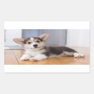 Adesivo Retangular Filhote de cachorro do Corgi de Galês do Pembroke