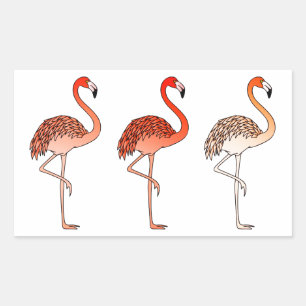 Adesivo Retangular Flamingos Cor-de-coral