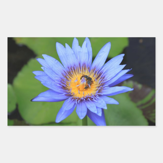 Adesivo Retangular Flor de lótus (Frente)
