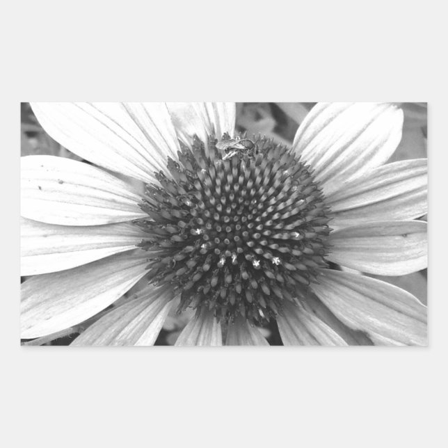 Adesivo Retangular Flor em preto e branco (Frente)