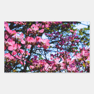 Adesivo Retangular Flor rosa Dogwood