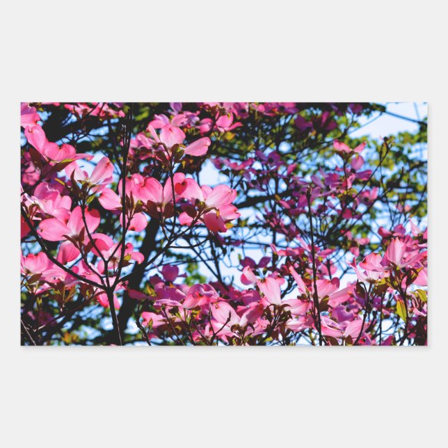 Adesivo Retangular Flor rosa Dogwood (Frente)