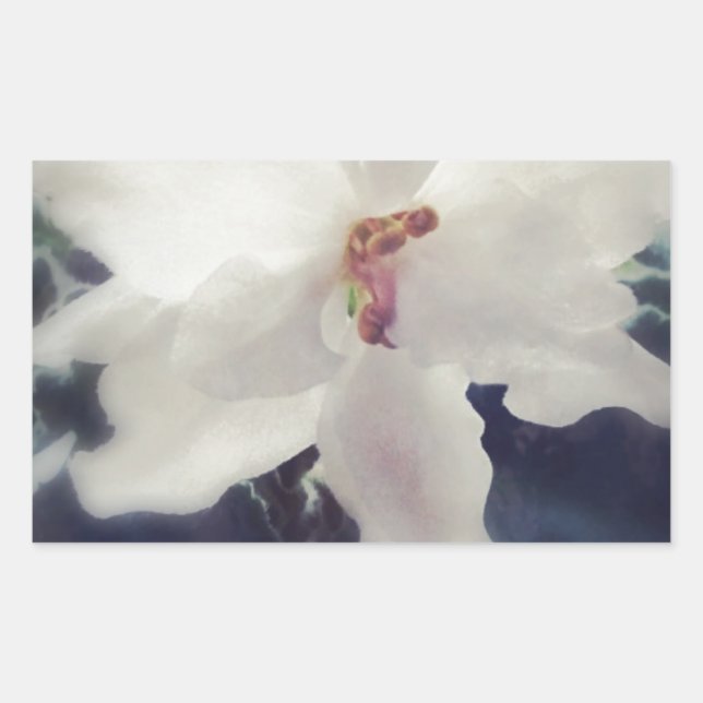 Adesivo Retangular Flor violeta branca africana (Frente)