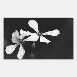 Adesivo Retangular floral preto e branco mínimo