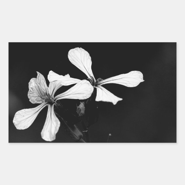 Adesivo Retangular floral preto e branco mínimo (Frente)
