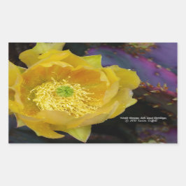 Adesivo Retangular Flores amarelas de pera púrpura da opuntia cacto