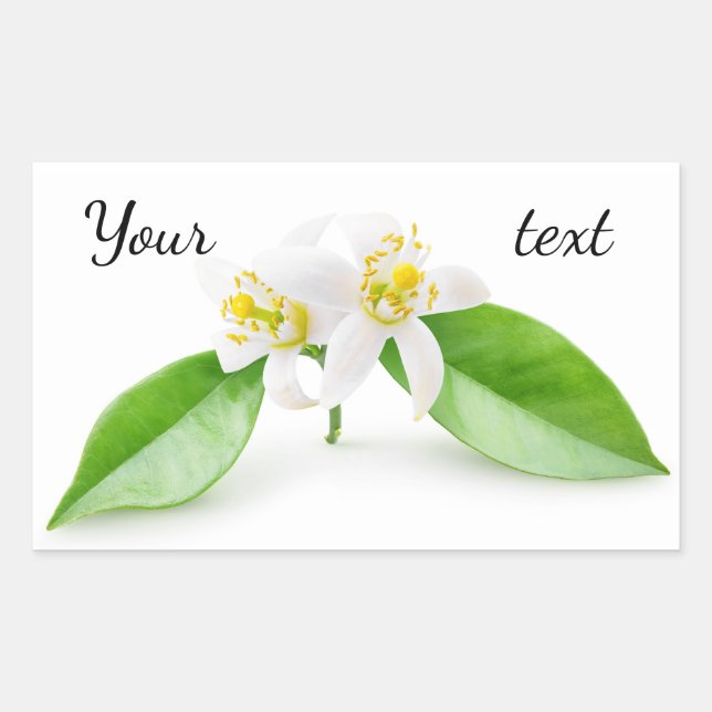 Adesivo Retangular Flores de árvore laranja (Frente)