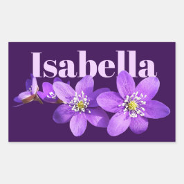 Adesivo Retangular Flores de Hepática Roxa Nome Roxo Escuro