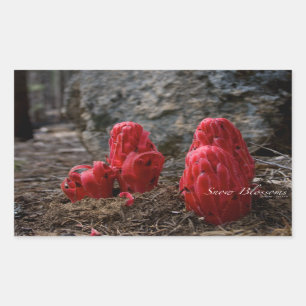 Adesivo Retangular Flores de Neve