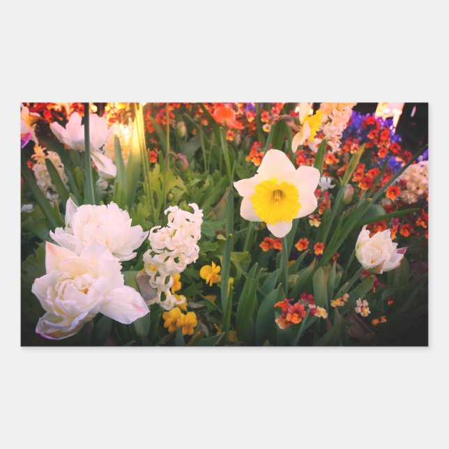 Adesivo Retangular Flores de primavera #1-1 (Frente)