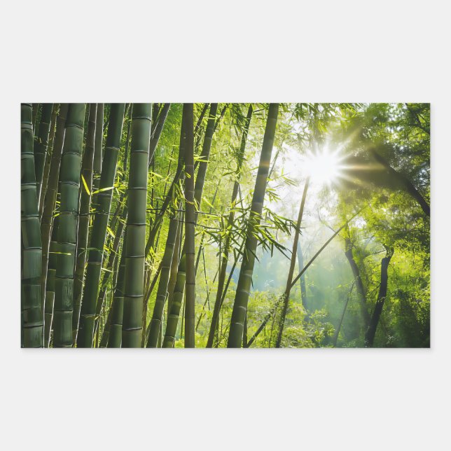 Adesivo Retangular Floresta Bamboo (Frente)