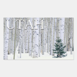 Adesivo Retangular Floresta Nacional Manti-LaSal, Utah