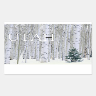 Adesivo Retangular Floresta Nacional Manti-LaSal, Utah