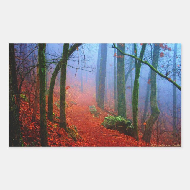 Adesivo Retangular Floresta Pintada Outono Névoa Azul (Frente)
