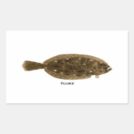 Adesivo Retangular Fluke