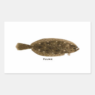 Adesivo Retangular Fluke